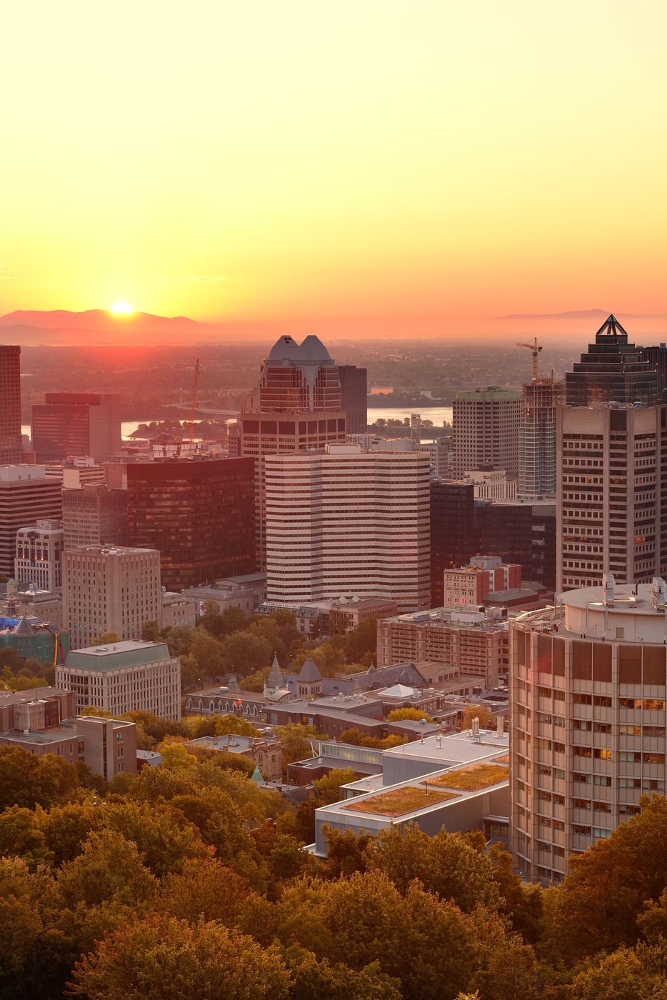 A downtown skyline at sunrise with two construction cranes