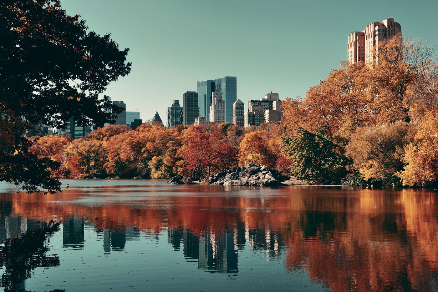 Autumn trees and city towers reflected in a lake