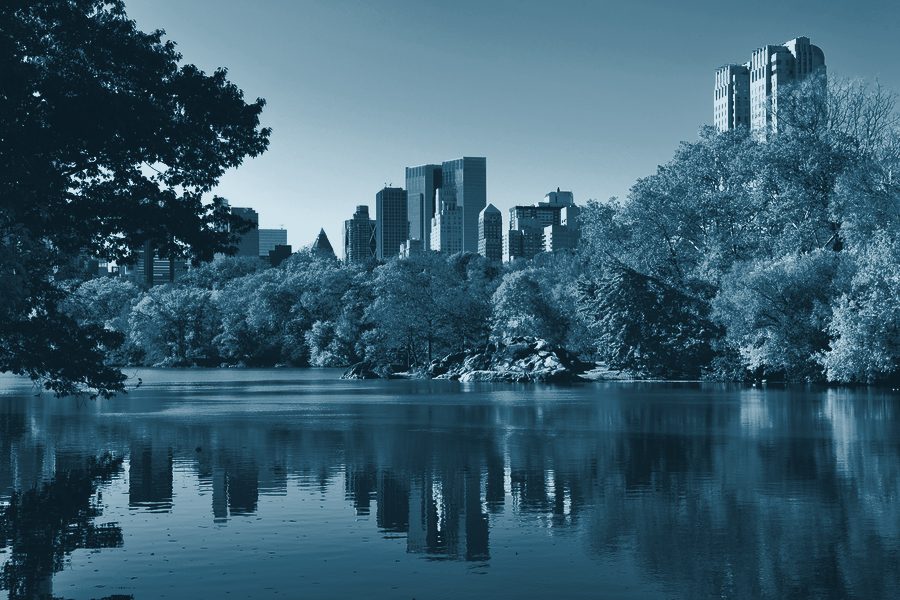 A photo tinted in Eno