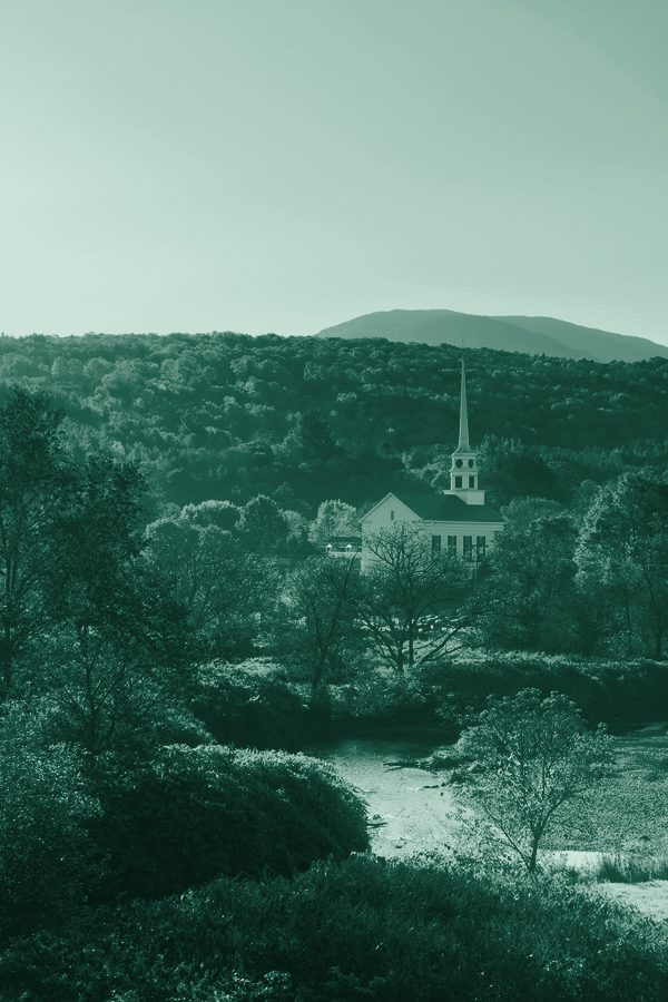 A photo tinted in Longleaf